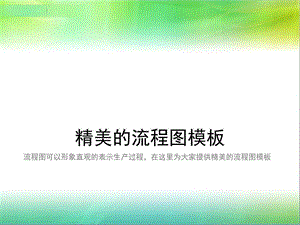 精美的流程图模板.ppt.ppt