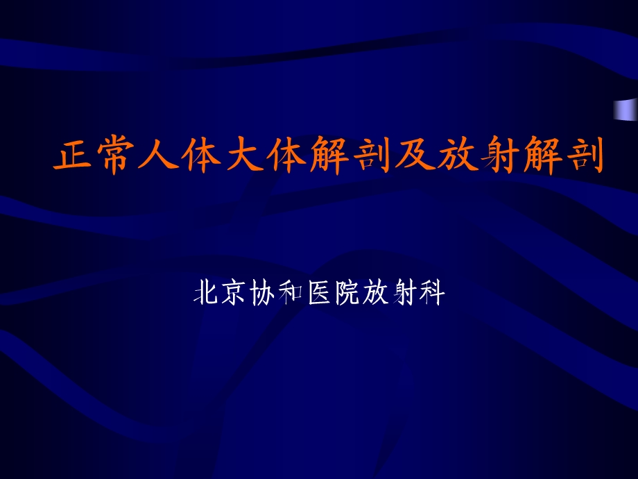 正常人体大体解剖及放射解剖.ppt_第1页