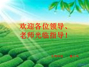 蒸腾作用定稿.ppt