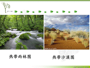 绿色植物与生物圈中的水循环.ppt