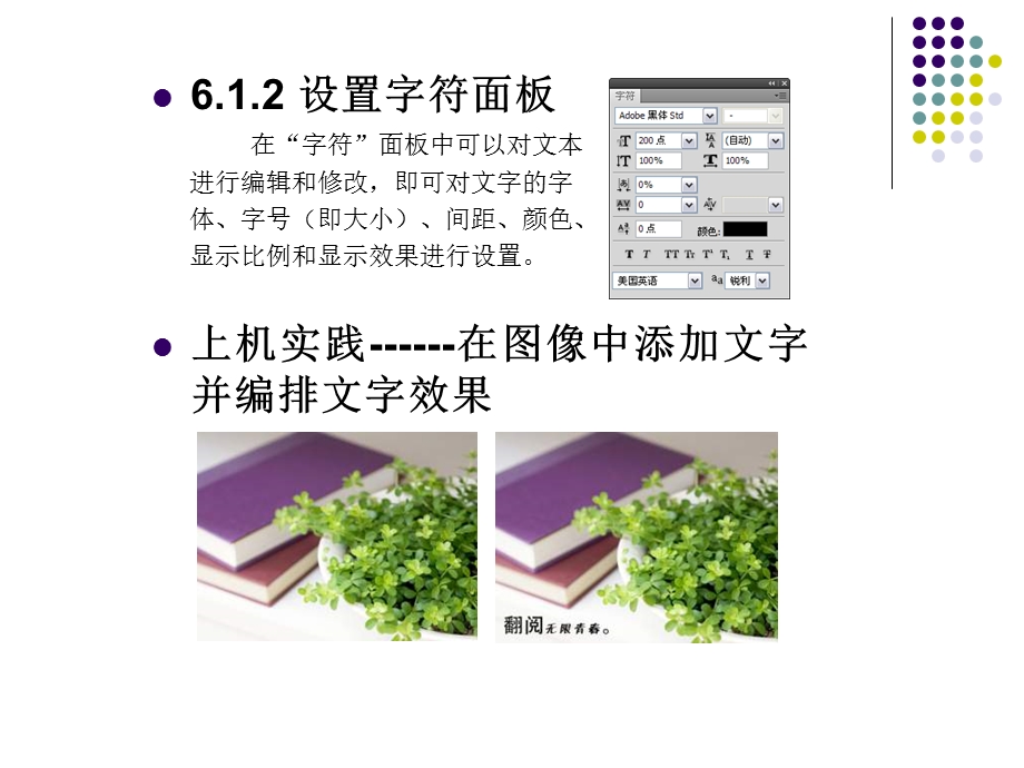 第6章文字的高级应用.ppt_第3页