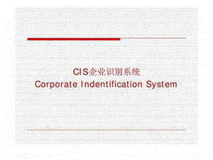 CIS企业识别系统.ppt