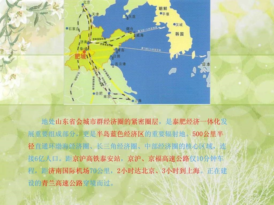 肥城市新兴产业园区管委会生态旅游区招商PPT.ppt_第3页