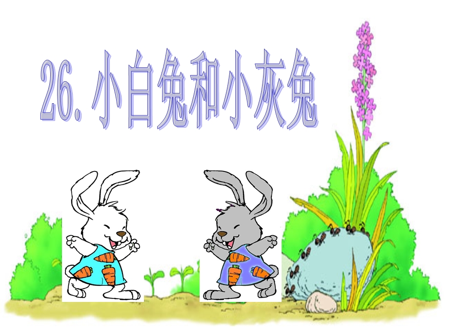 《小白兔和小灰兔》课件.ppt_第2页