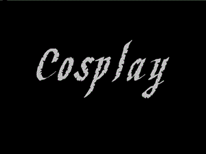 cosplay简介PPT演讲主持工作范文实用文档.ppt.ppt