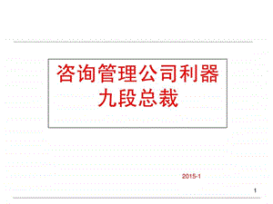 九段总裁咨询管理类.ppt