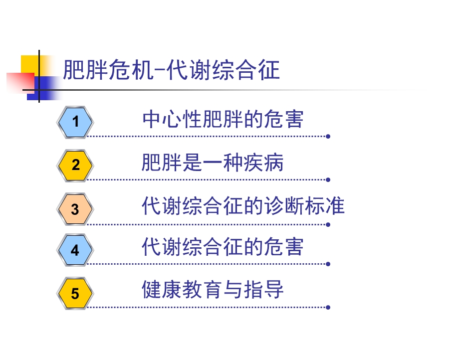 肥胖危机代谢综合征.ppt_第3页