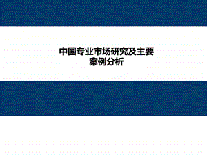 中国专业市场研究及主要案例分析.ppt图文.ppt