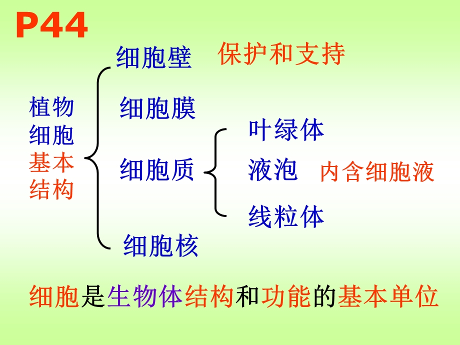 第四节细胞的生活.ppt_第3页