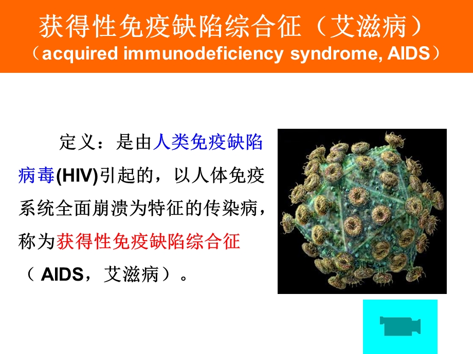 艾滋病与免疫PPT文档.ppt_第3页