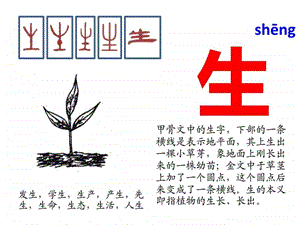 与一有关的汉字图文.ppt.ppt