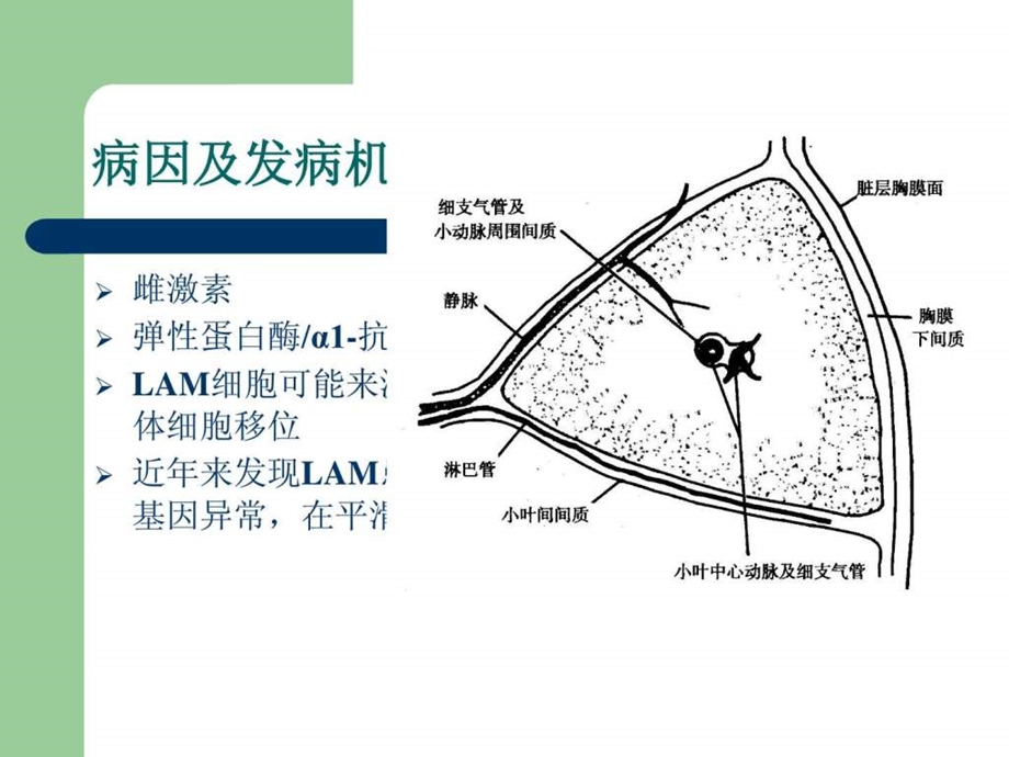 肺淋巴管肌瘤病图文.ppt.ppt_第3页