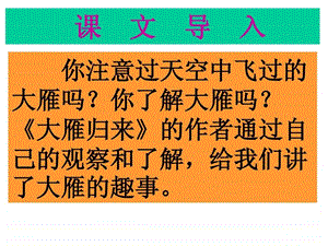 大雁归来PPT课件.ppt3.ppt