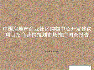 ...社区购物中心开发建议项目招商营销策划市场推广调查...