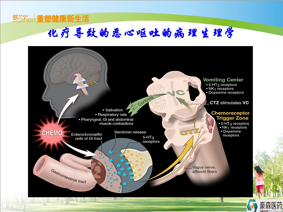 奥氮平肿瘤科应用ppt课件.ppt_第1页