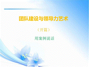 团队建设与领导力艺术开篇图文.ppt.ppt