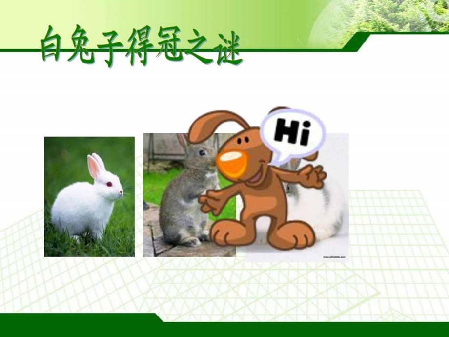 教学目标设计科学.ppt_第2页