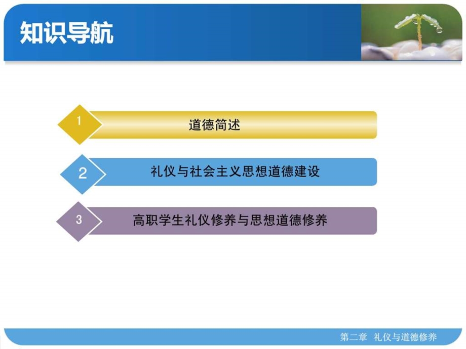 礼仪与道德修养.ppt.ppt_第2页