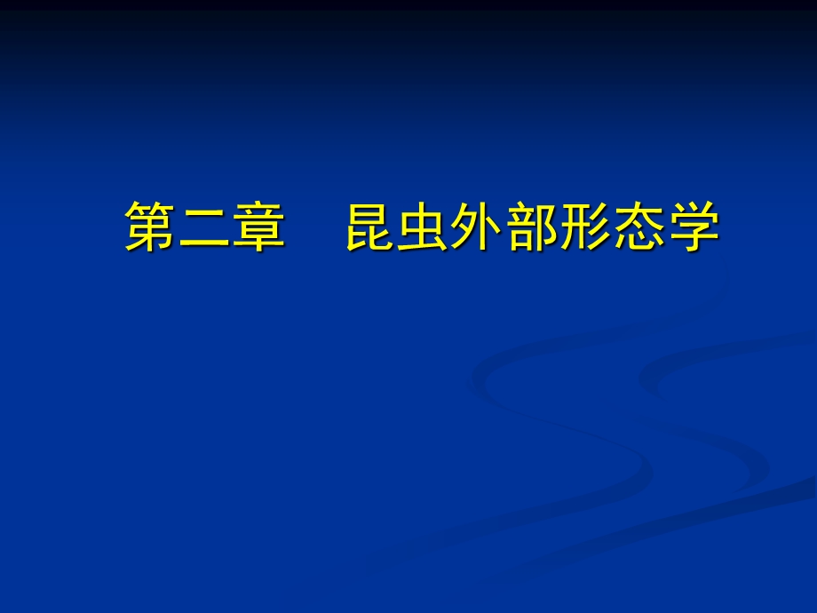 昆虫学课件第二章昆虫的外部形态一般构造.ppt_第1页