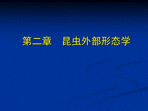 昆虫学课件第二章昆虫的外部形态一般构造.ppt