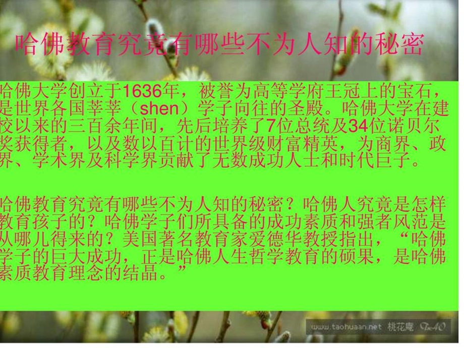 哈佛家教公开课董玲.ppt.ppt_第3页