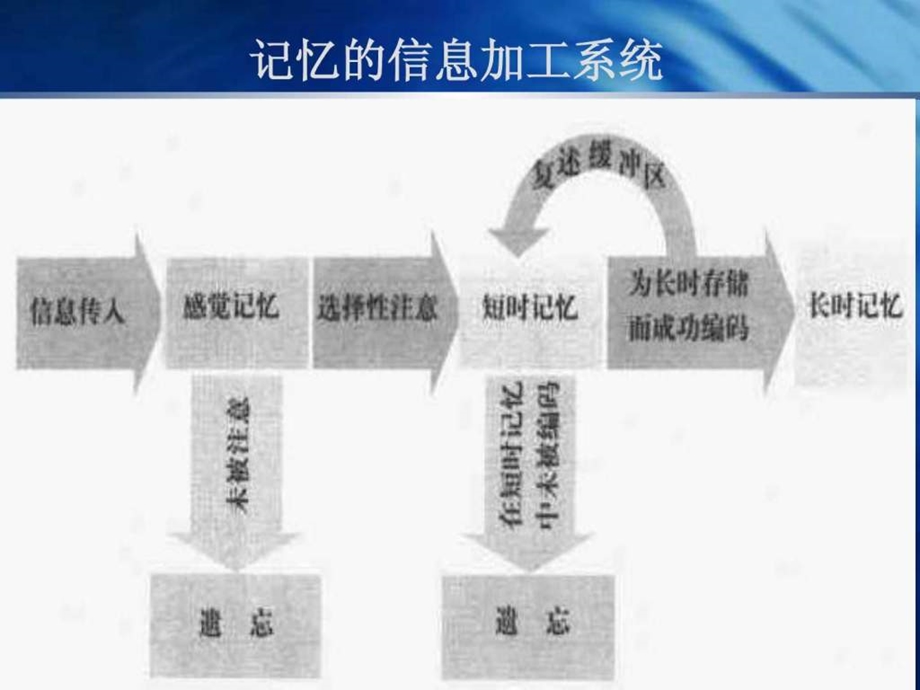 教育心理学记忆2.ppt.ppt_第3页