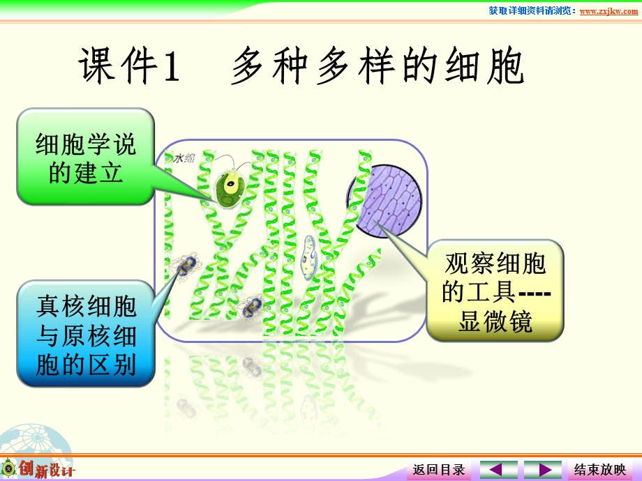 课件1多种多样的细胞.ppt_第2页