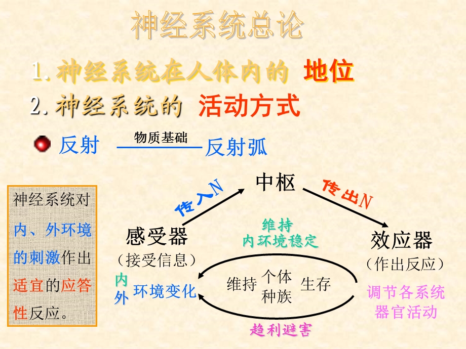 神经系统总论脊髓文档资料.ppt_第1页