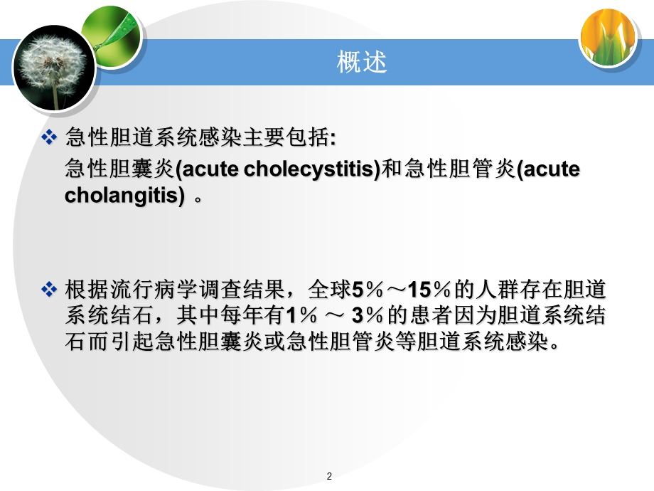 急性胆道系统感染的诊断和外科治疗.ppt_第2页