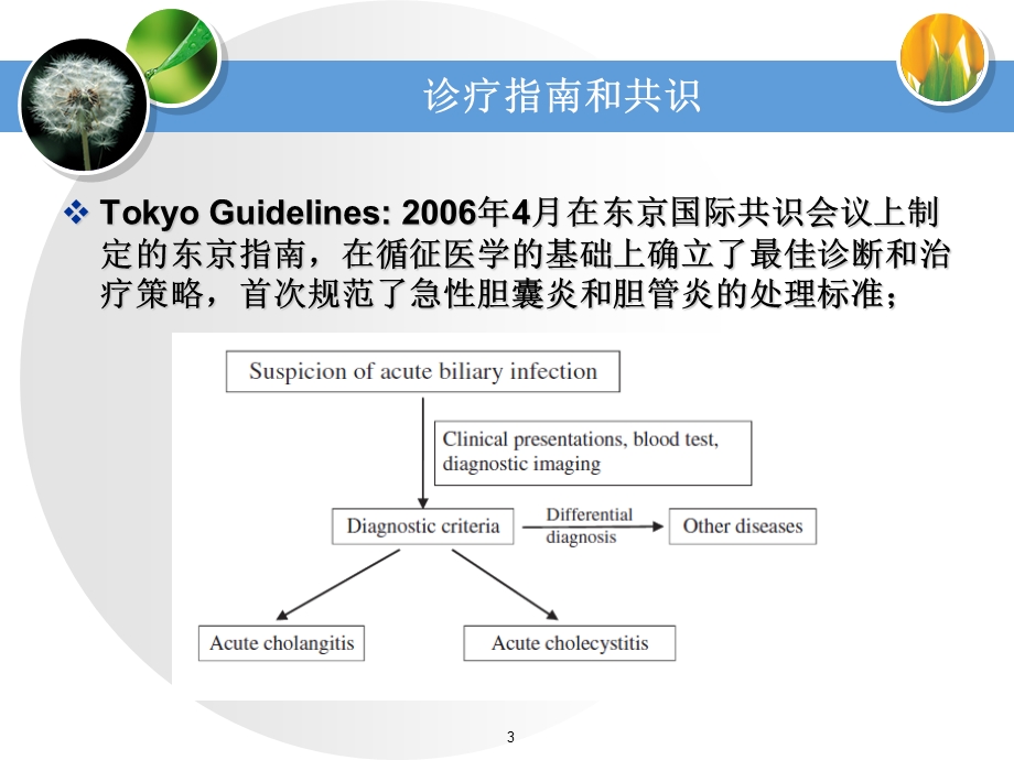 急性胆道系统感染的诊断和外科治疗.ppt_第3页