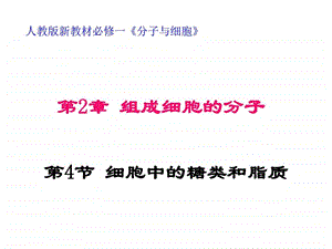 124细胞中的糖类和脂质.ppt11.ppt