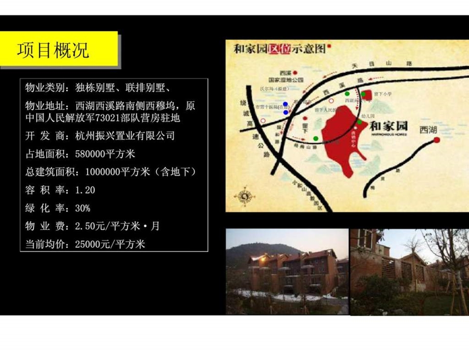 成全机构沪杭别墅项目精彩个案分析报告.ppt_第3页