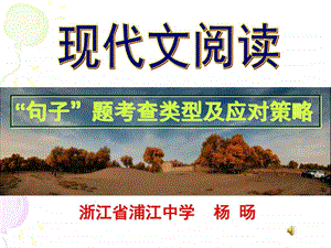 现代文阅读1029图文.ppt