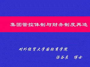 汤谷良教授集团管控体制与财务制度再造.ppt