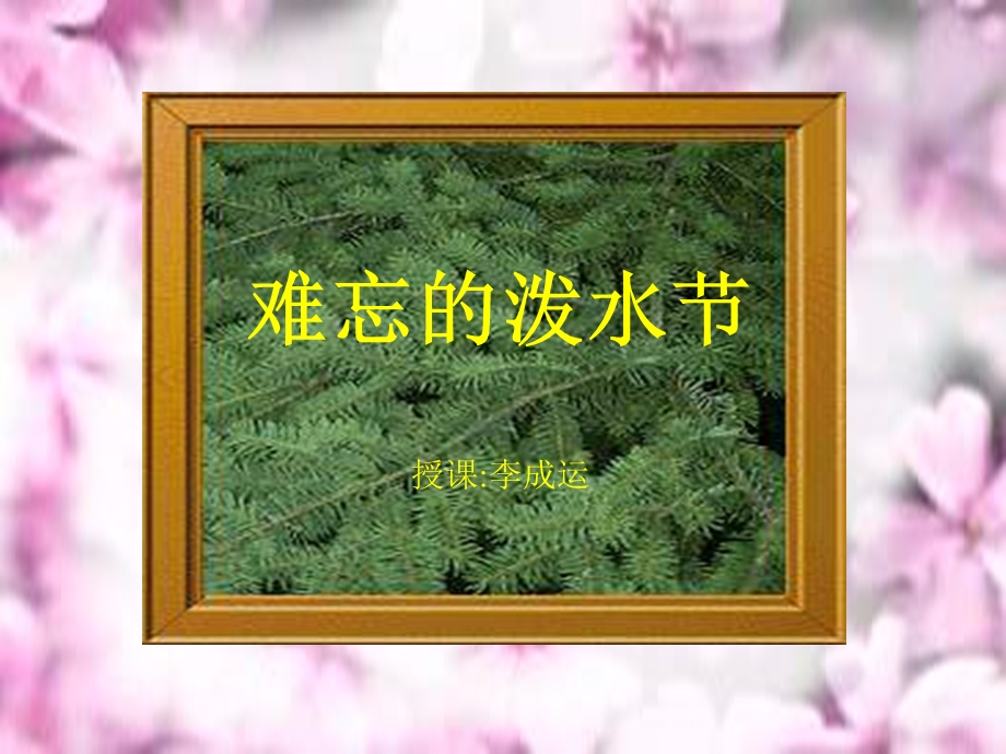 人教版小学二年级语文《难忘的泼水节》.ppt_第1页