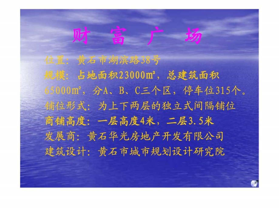 某某房地产财富综合商品批发广场广告资料.ppt_第3页