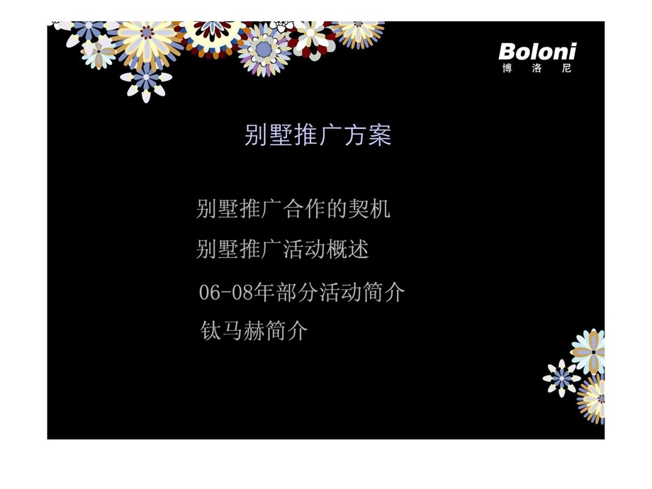 Boloni别墅推广方案广告传媒人文社科专业资料.ppt.ppt_第2页