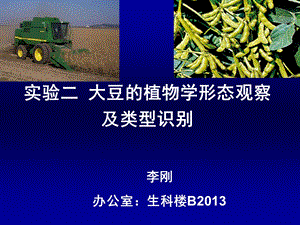 实验二大豆的植物学形态观察.ppt