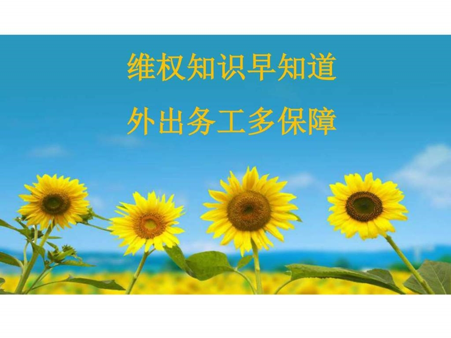 农民工维权知识宣传课件图文.ppt.ppt_第1页