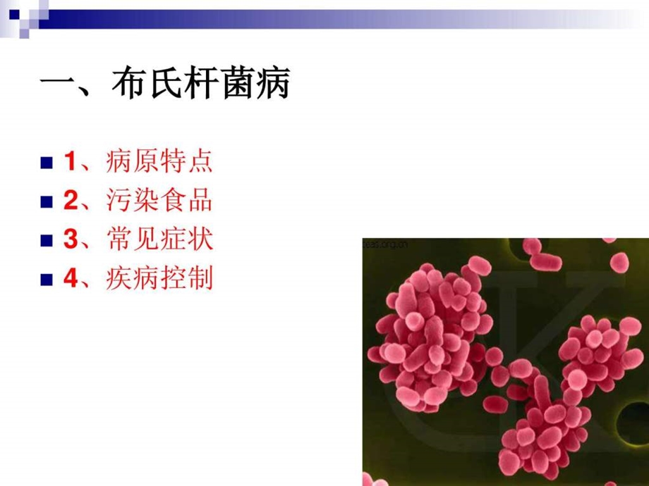 烹饪卫生与安全第七讲细菌性传染病及其控制.ppt.ppt_第3页