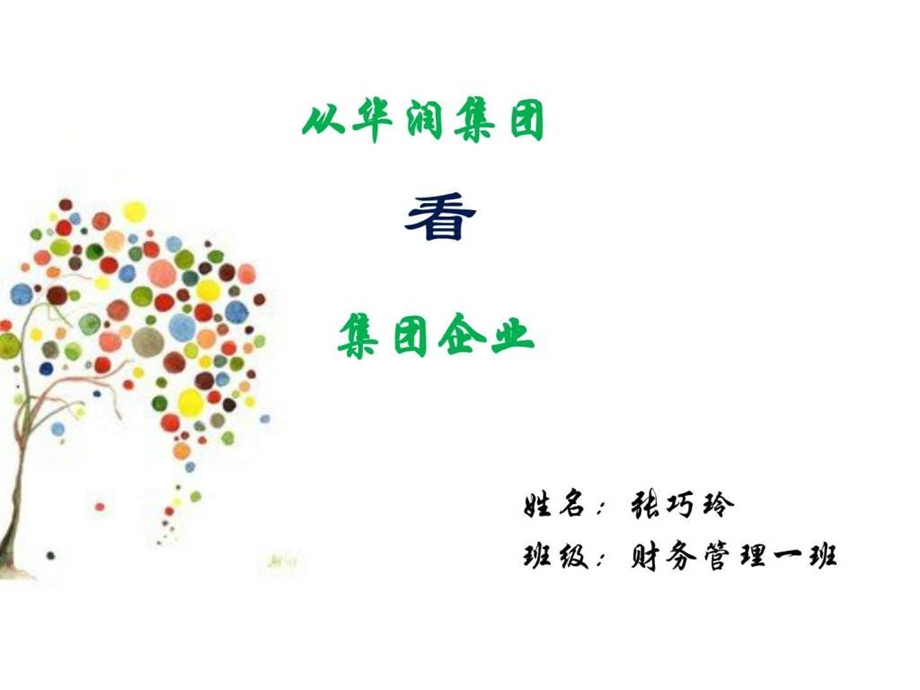 华润集团的组织结构图文.ppt.ppt_第1页