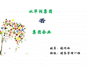 华润集团的组织结构图文.ppt.ppt