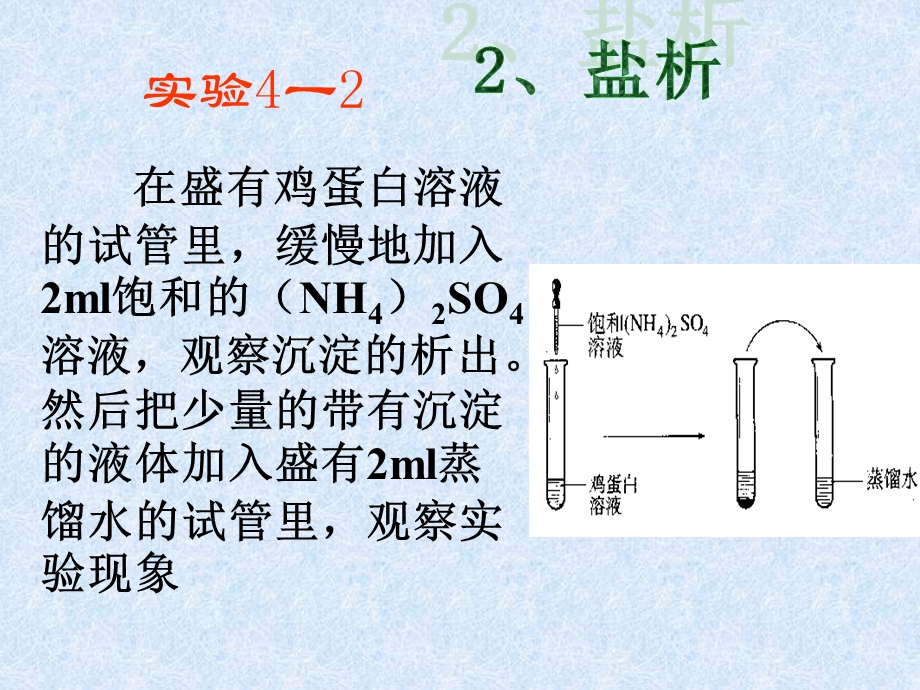 选修（5）432蛋白质和核酸.ppt_第2页