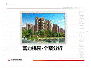 富力桃园个案分析.ppt.ppt