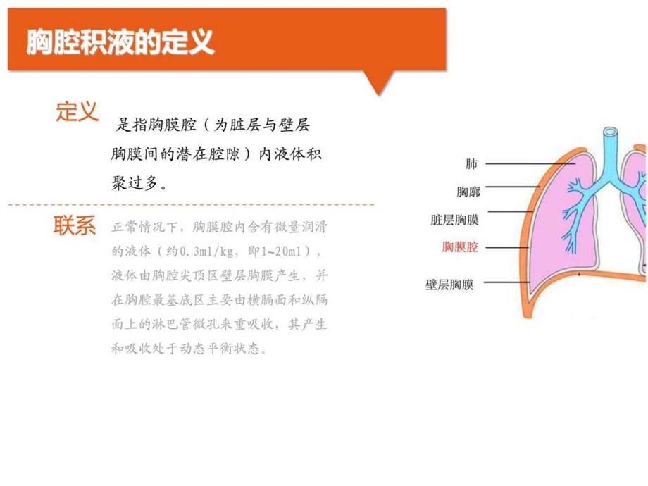 胸腔积液图文1587655817.ppt.ppt_第3页