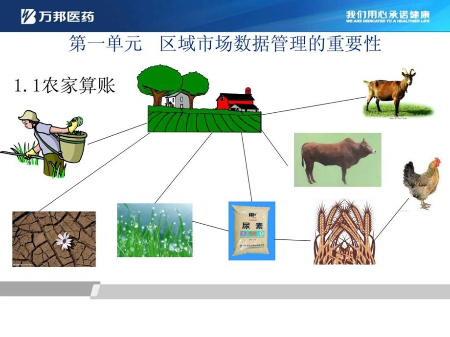 医药代表区域市场数据管理图文.ppt.ppt_第3页