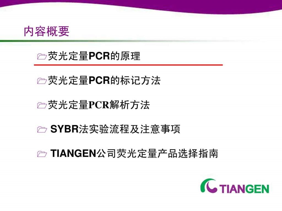 荧光定量PCR技术专题1652540619.ppt.ppt_第2页