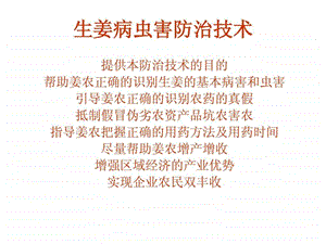 生姜病虫害防治图文.ppt.ppt