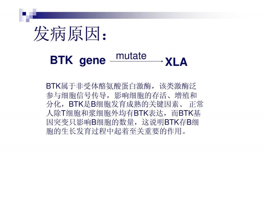 X连锁无丙种球蛋白血症XLA图文.ppt.ppt_第3页