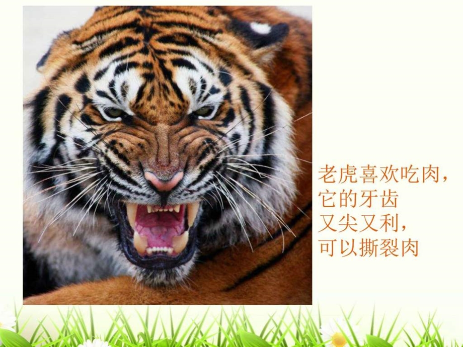 课件图文.ppt.ppt_第3页